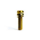 Tornillo ProComponents M6x17mm / M5x40mm Sockts Dorado